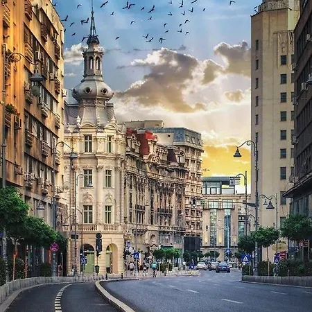 Imob Bibi House Universitate Appartamento *