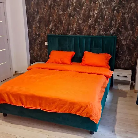 Imob Bibi House Universitate Apartment *