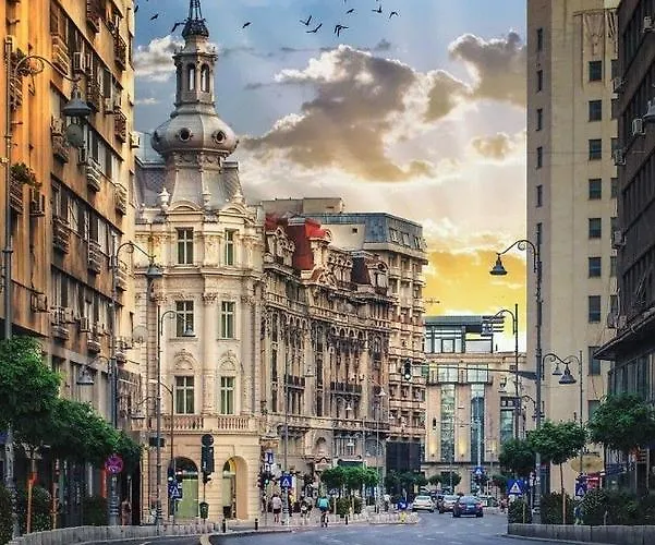 Imob Bibi House Universitate Apartment *